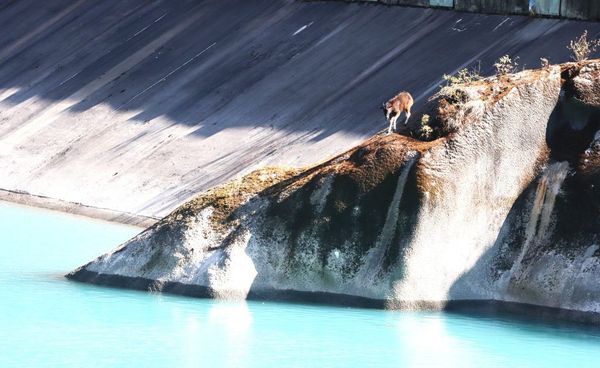 झारल र ड्यामको संघर्ष : एउटा अनौठो दृश्य