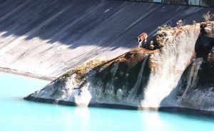 झारल र ड्यामको संघर्ष : एउटा अनौठो दृश्य